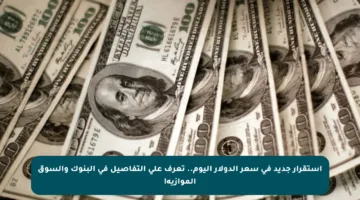 استقرار جديد في سعر الدولار اليوم.. تعرف على التفاصيل في البنوك والسوق الموازية!